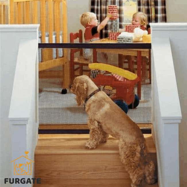 FURGATE® drzwi zwierząt domowych