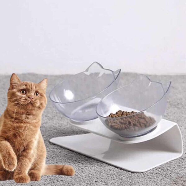 Ortopedyczna miska dla kota